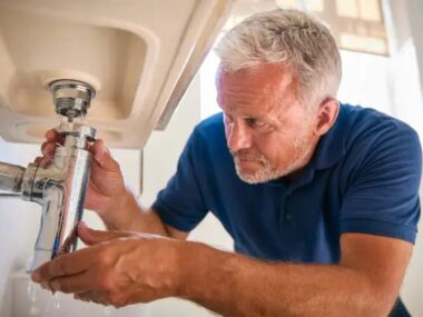 Skilled Jobs in New Zealand with Visa Sponsorship