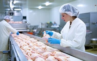 Meat Processing Jobs in Europe for Foreign Workers